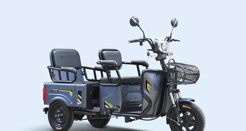 金彭 宗申 艾美達(dá) 愛瑪?shù)入妱?dòng)三輪車企業(yè),最近在做什么