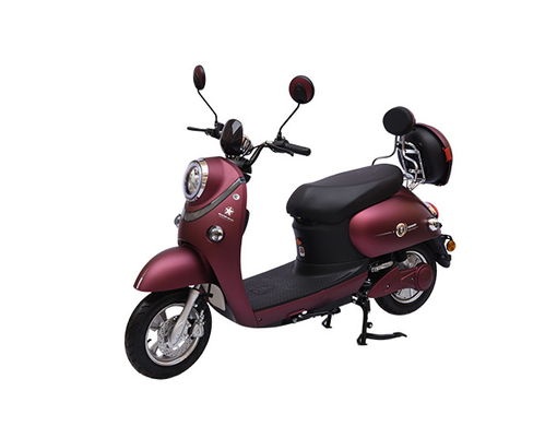 新疆電瓶車哪個牌子好